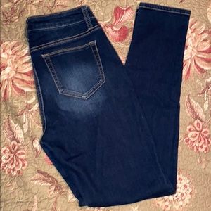 Daytrip lynx high waisted skinny jeans nwot